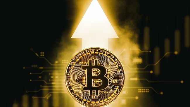 
			CEO Ark Invest: США начнут активно пополнять биткоин-резерв		