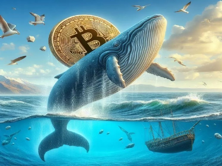 
			Внимание: 13-летний &laquo;древний кит&raquo;, купивший биткоины (BTC) всего за 332 доллара, совершил сделку! Вот огромная прибыль, которую он получил!		