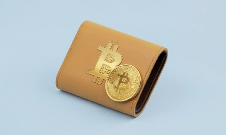 
			Биткоин эпохи Сатоши сталкивается с большей квантовой угрозой после нового прорыва Google в Willow		